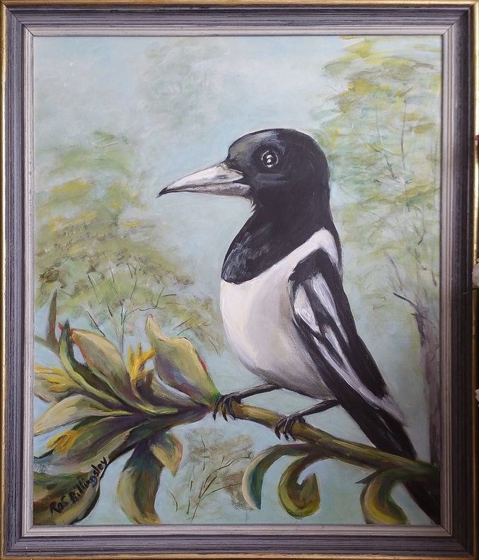 Butcher Bird