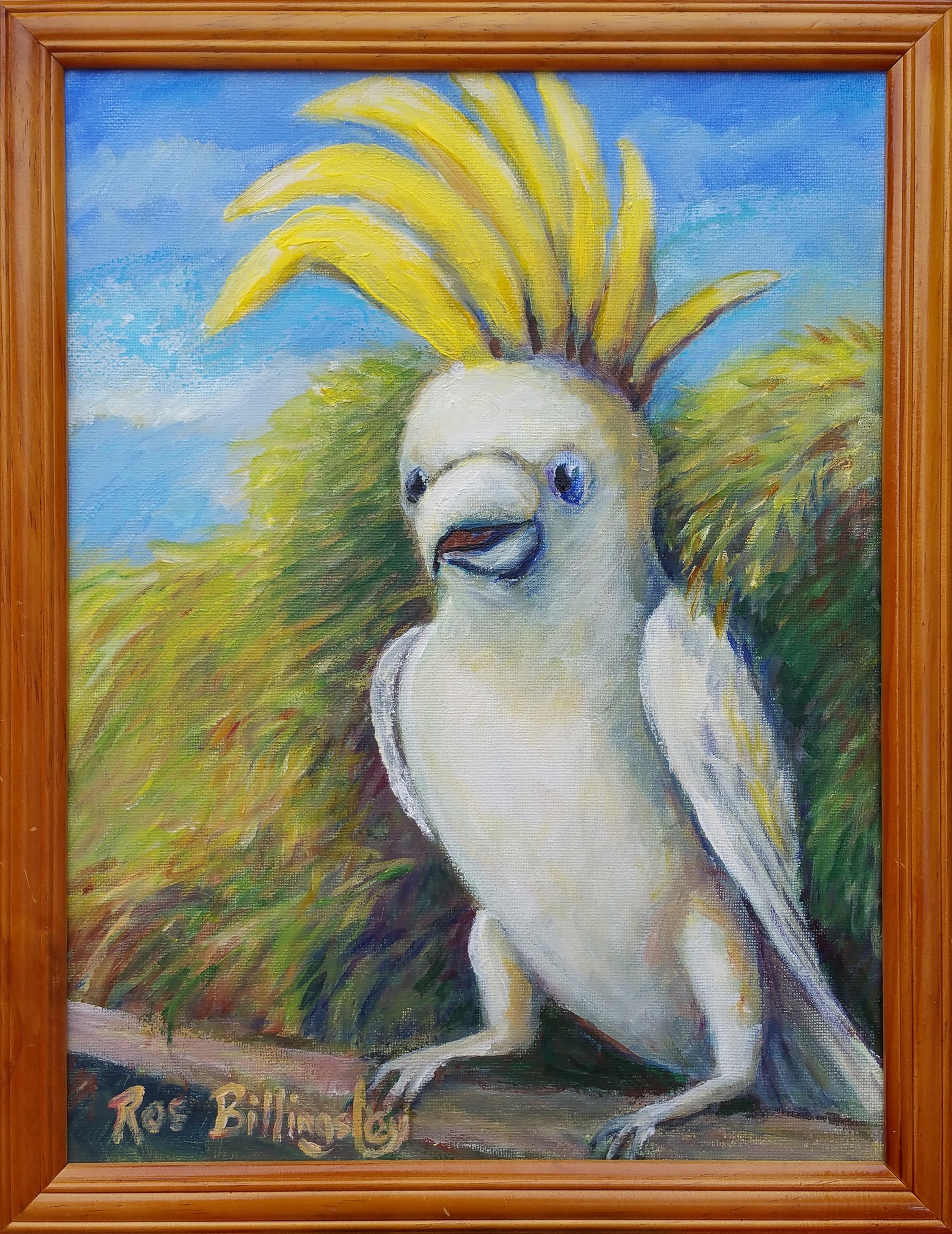 Cocky