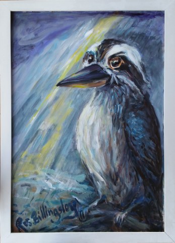 Wet
              kookaburra